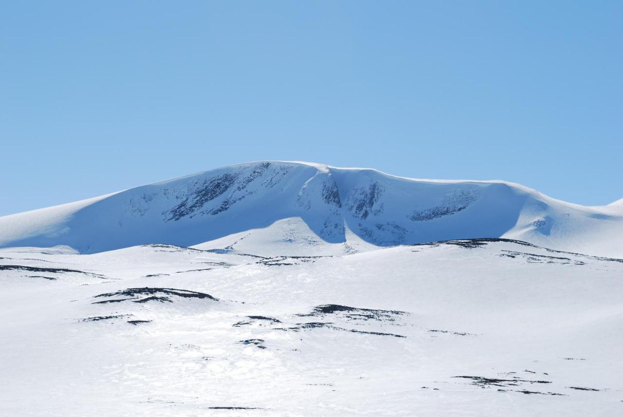 Appartement Signegarden - Midt I Fjellheimen - Tett Pa Fjord-Norge à Skjåk Extérieur photo
